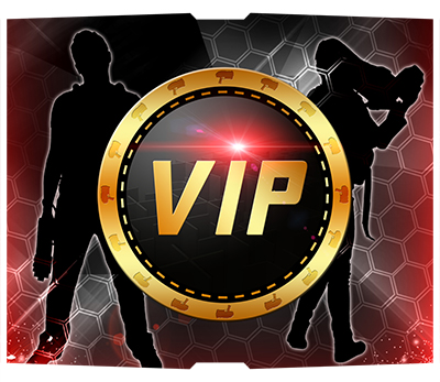 Prestations VIP Laser Game